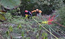 Artvin'de otomobilin uçuruma yuvarlandığı kazada 1 kişi öldü