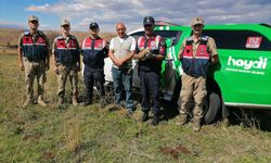 Erzurum'da bahçede tellere takılı bulunan erguvani balıkçıl tedaviye alındı