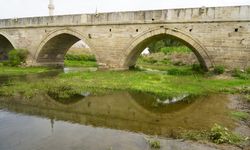 Edirne'deki Tunca Nehri'nin debisi 4 yıldır azalıyor