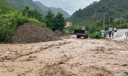 Trabzon'daki taşkın ve heyelanlar 208 milyon liralık zarara neden oldu