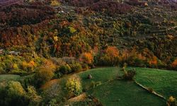 Bosna Hersek'in güneyi sonbahar renklerine büründü