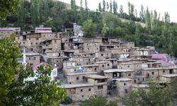 Fotoğraf tutkunları Bitlis'teki taş evleri görüntüledi