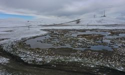 Kars'ta soğuk hava ve kırağı etkili oldu