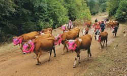 Trabzon'da yaylalardan dönüş yolculuğu devam ediyor