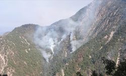 Kahramanmaraş'taki orman yangınına müdahale sürüyor