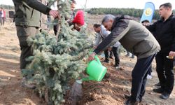 İç Anadolu'da Milli Ağaçlandırma Günü'nde binlerce fidan toprakla buluşturuldu