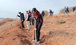 Kayseri'de Milli Ağaçlandırma Günü'nde tohumlar zirai dronla toprağa ekildi