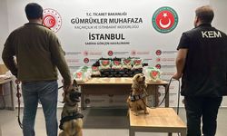 Gümrük Muhafaza ekipleri zehir tacirlerine geçit vermiyor