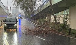 İstanbul'da fırtına ve sağanak etkili oluyor