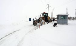 Kastamonu, Tokat ve Amasya'da 90 köy yolu kardan kapandı