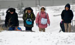 Kars, Ardahan, Ağrı ve Tunceli'de kar yağışı etkili oldu