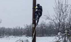 Orta Karadeniz'de kar yağışı ve fırtınanın yol açtığı elektrik kesintileri giderildi