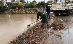 Muğla'da sağanak etkili oluyor