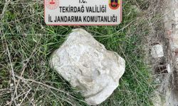 Tekirdağ’da antik sütun başlığı ele geçirildi