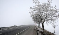 Bitlis'te soğuk hava ve sis etkili oldu