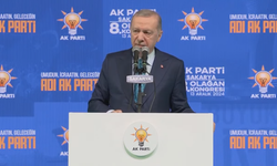 Cumhurbaşkanı Erdoğan: Suriye'nin diğer kısımlarını da terör örgütlerinden temizleyeceğiz