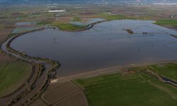 Büyük Menderes Nehri'nde taşkınlar yaşandı