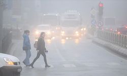 Edirne ve Kastamonu'da yoğun sis etkili oldu