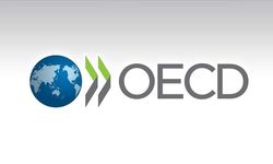 OECD, küresel ekonominin bu yıl yüzde 3,2 ve Türkiye ekonomisinin yüzde 3,5 büyümesini bekliyor