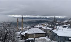 Adana'da kar yağışı etkili oluyor