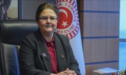 TBMM İnsan Haklarını İnceleme Komisyonu Başkanı Yanık'tan BM'ye "yeni sistem" çağrısı