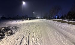 Erzurum, Kars, Ardahan ile Ağrı'da kar ve soğuk hava etkili oldu