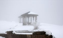 Bolu Dağı ve Bitlis'te sis ve soğuk hava etkili oldu