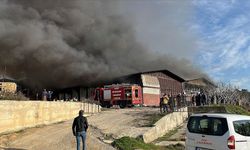 Aydın'da kıl çadırı üreten işletmede çıkan yangına müdahale ediliyor