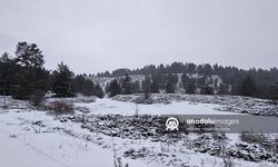 Çankırı ve bazı ilçelerinde kar yağışı etkili oldu