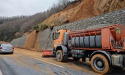 Zonguldak-Ereğli yolunda heyelan meydana geldi