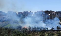 Antalya’da sazlık alandaki yangın kontrol altına alındı