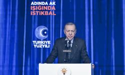 Cumhurbaşkanı Erdoğan: Terör sorunu ortadan kalktıktan sonra yeni bir dönemin kapıları açılacaktır