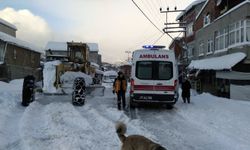 Sinop'ta kar nedeniyle mahsur kalan 74 hasta ekiplerce hastanelere ulaştırıldı