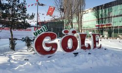 Erzurum, Ardahan ile Ağrı'da dondurucu soğuklar etkisini sürdürüyor