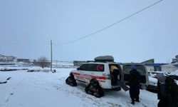 Şanlıurfa'da yolu kardan kapanan kırsaldaki hastaya paletli ambulansla ulaşıldı