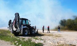 Antalya'da ormanlık ve sazlıkta çıkan yangın söndürüldü