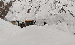 Hakkari'de mezra yoluna düşen çığ ekiplerce temizlendi