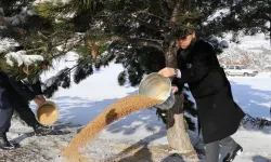 Amasya'da yaban hayvanları için doğaya yem bırakıldı