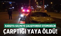 Denizli'de otomobilin çarptığı yaya hastanede öldü