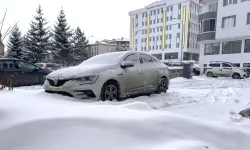 Erzurum, Ardahan ile Kars'ta kar ve soğuk hava etkili oluyor