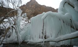 Hakkari'de borudan fışkıran su nedeniyle ağaçlarda buz sarkıtları oluştu