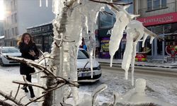 Kars, Ağrı ile Ardahan'da dondurucu soğuk hava etkili oluyor