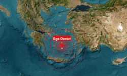 Ege Denizi'ndeki sismik hareketlilik nedeniyle Niyoz Adası'nda olağanüstü hal ilan edildi