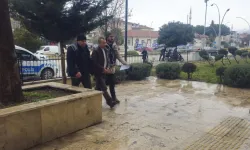 Tokat'ta bir tırda 5 düzensiz göçmen yakalandı