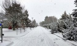 Niğde'nin Bor ilçesinde kar etili oluyor