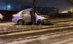 Erzurum'da refüjdeki ağaca çarpan araçtaki 1 kişi yaralandı