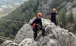 Burdur'da dağlık alanda mahsur kalan keçileri AFAD kurtardı