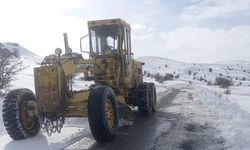 Elazığ'da kar nedeniyle kapanan 297 köy yolu ulaşıma açıldı