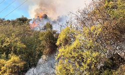 Antalya'da ormanlık alanda çıkan yangına müdahale ediliyor