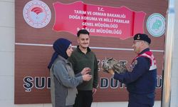 Yozgat'ta jandarmanın bulduğu yaralı puhu tedaviye alındı